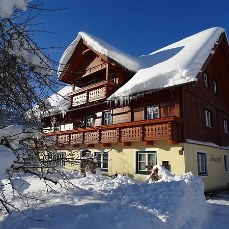 Linarhof Apartment Urlaub Am Bio Bauernhof Haus im Ennstal Eksteriør bilde