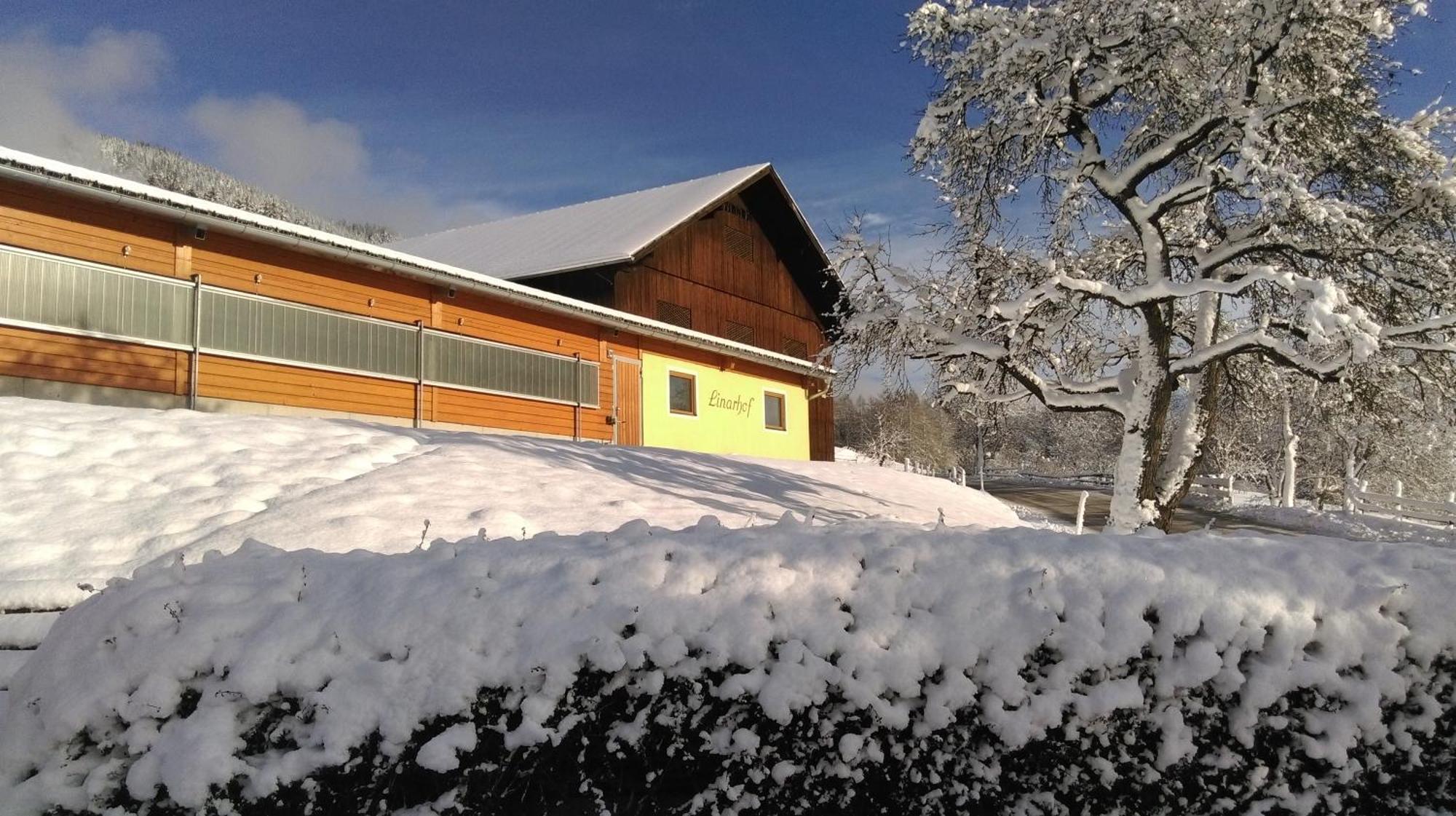 Linarhof Apartment Urlaub Am Bio Bauernhof Haus im Ennstal Eksteriør bilde