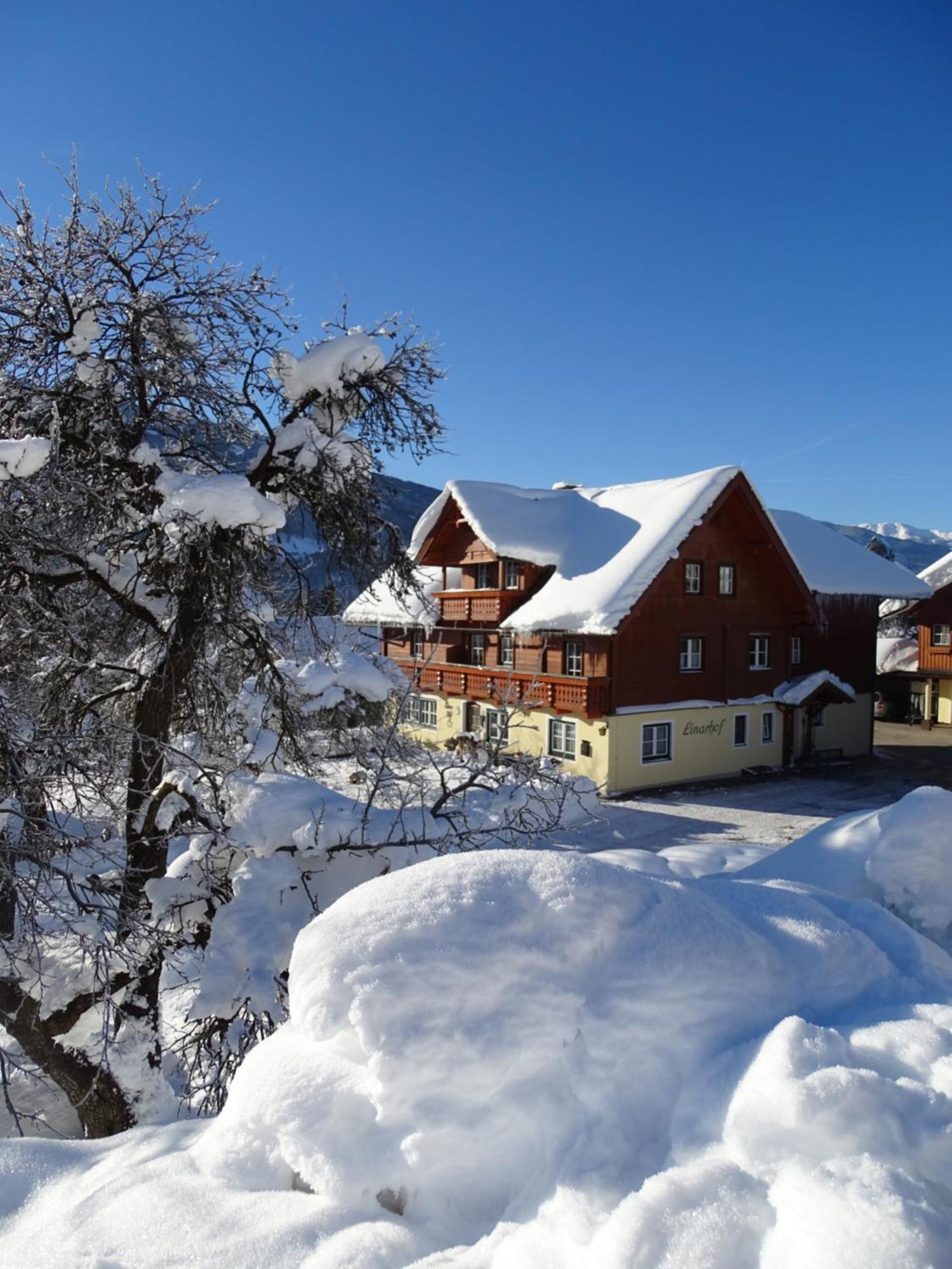 Linarhof Apartment Urlaub Am Bio Bauernhof Haus im Ennstal Eksteriør bilde